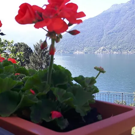La Terrazza Di Elena